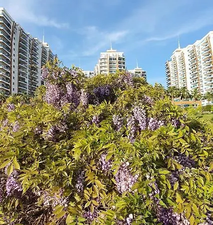 Alanya Azura Park 5*